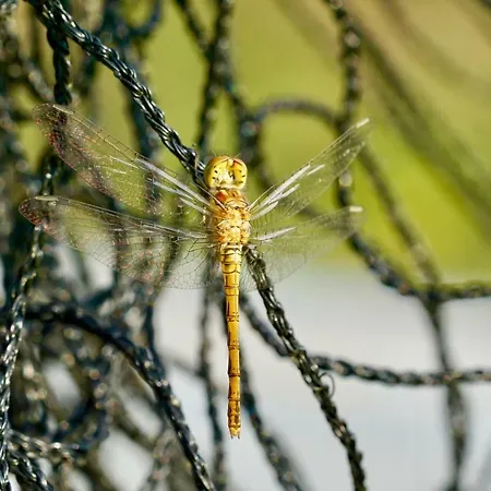 La Roulotte En Plein Nature Au Blagour Prázdninový dům Lachapelle-Auzac
