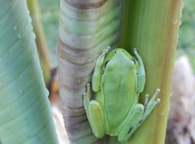 La Roulotte En Plein Nature Au Blagour *