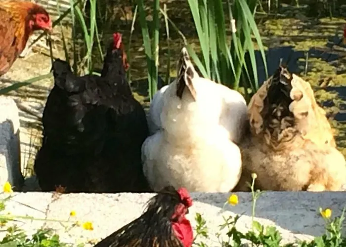 La Roulotte En Plein Nature Au Blagour Prázdninový dům Lachapelle-Auzac