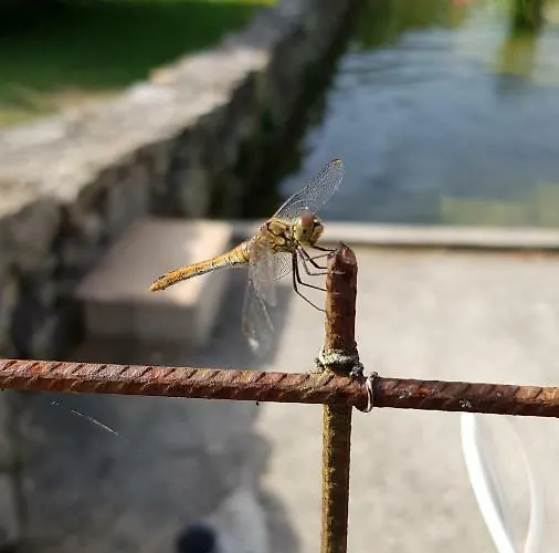 La Roulotte En Plein Nature Au Blagour Prázdninový dům Lachapelle-Auzac