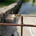 La Roulotte En Plein Nature Au Blagour 別荘 Lachapelle-Auzac