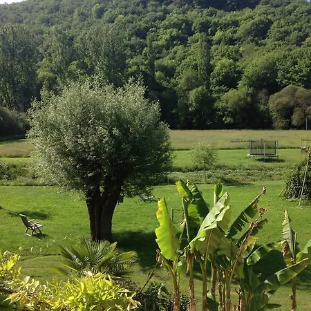 Pipowagen Blagour Midden In De 펜션