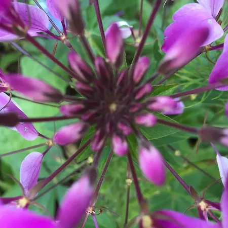 La Roulotte En Plein Nature Au Blagour *