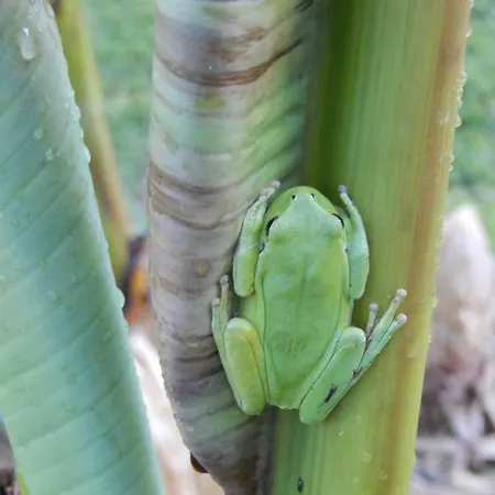 La Roulotte En Plein Nature Au Blagour *