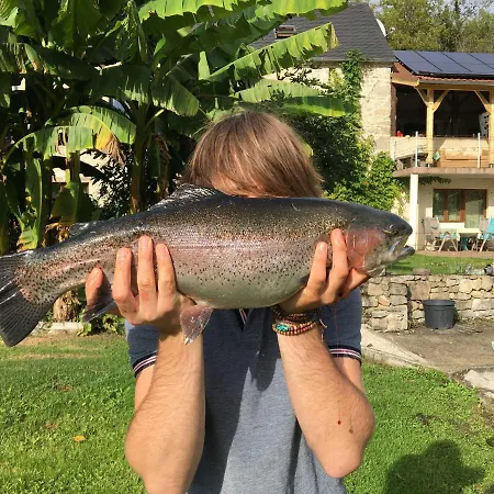 La Roulotte En Plein Nature Au Blagour Lachapelle-Auzac