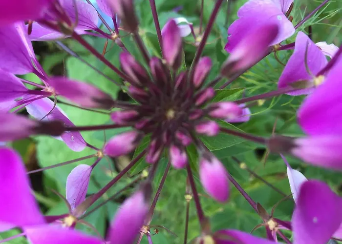 La Roulotte En Plein Nature Au Blagour *